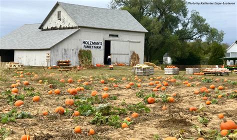 holzman's family farm photos|holzman's pumpkin farm.